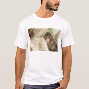 Snöapa baby, Jigokudani, Nagano, Japan Tee Shirt