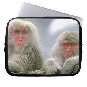Snöapa-par, Japansk makak, Laptop Sleeve