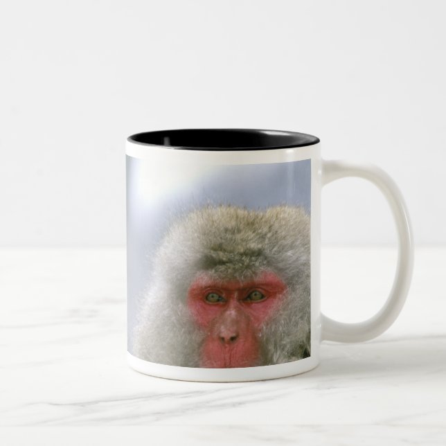 Snöapa-par, Japansk makak, Två-Tonad Mugg (Höger)