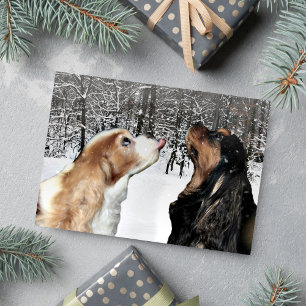 Snöar på Cavalier King Charles Spaniel-kort Helgkort