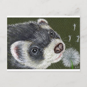 Snobbig vessla vykort