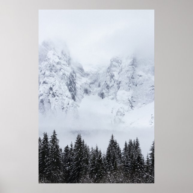 Snöberg och grindskog poster (Framsidan)