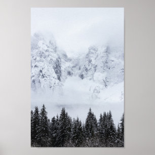 Snöberg och grindskog poster