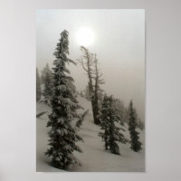 Snöberget och träd