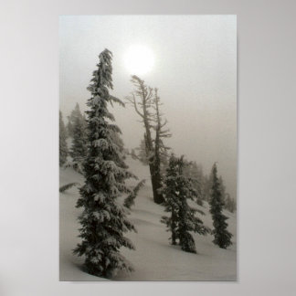 Snöberget och träd poster
