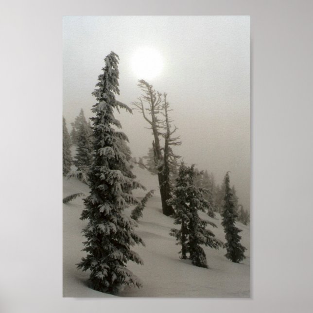 Snöberget och träd poster (Framsidan)