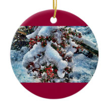 Snöbilder på en orniment