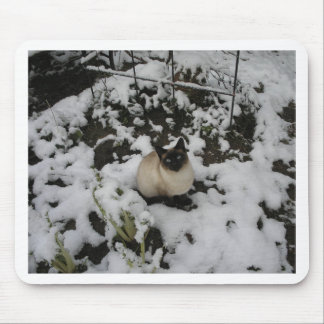 Snöbilder, snökatt musmatta