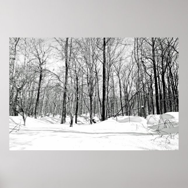 Snöblind Poster (Framsidan)