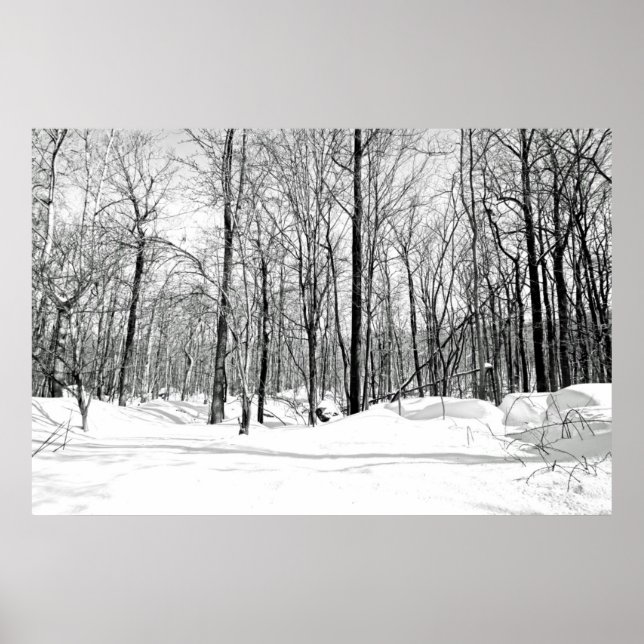 Snöblind Poster (Framsidan)