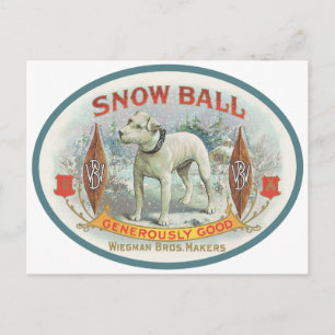 Snöboll i Hund Vykort