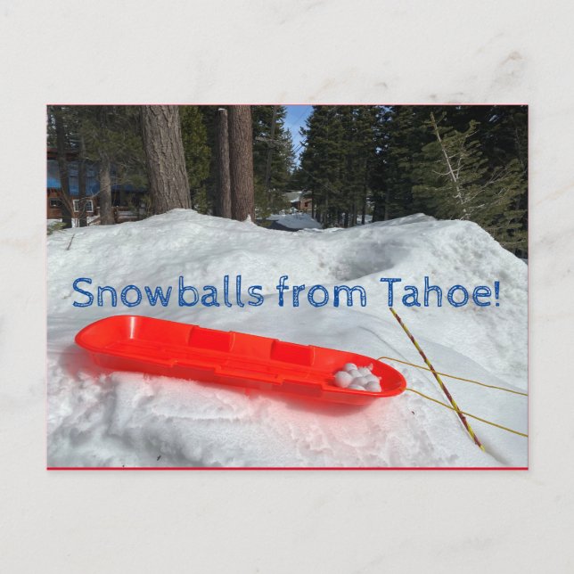 Snöbollar från Tahoe! Vykort (Framsida)