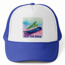 Snöbordsbön för insekt i snö