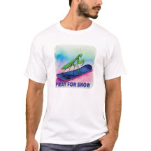 Snöbordsbön för insekt i snö