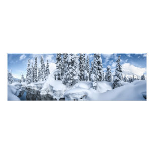 Snöbunden Fototryck