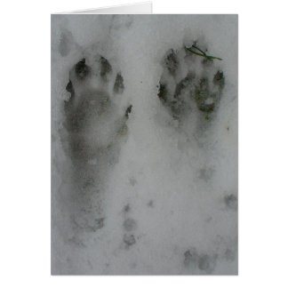 Snö'coon Hälsningskort