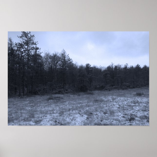 Snödamm på myren poster (Framsidan)