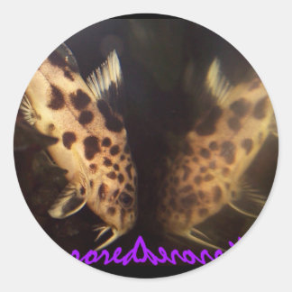 Snodontis catfish spegrored-dekal runt klistermärke