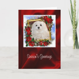 Snödroppa det maltesiska julkortet helgkort