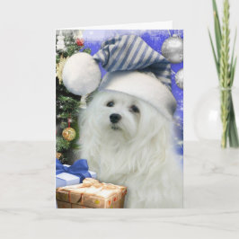 Snödroppa det maltesiska julkortet helgkort