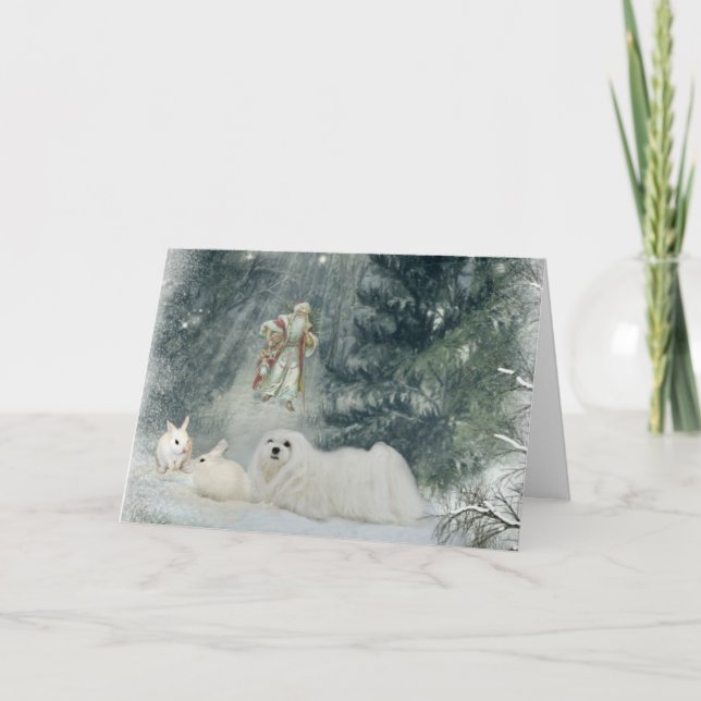 Snödroppa det maltesiska julkortet helgkort (Framsida)