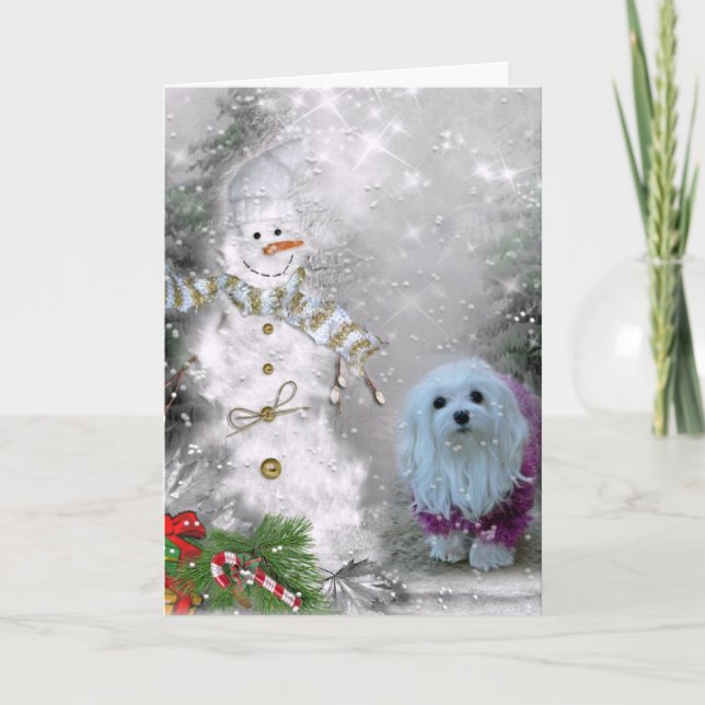 Snödroppa det maltesiska julkortet helgkort (Framsida)