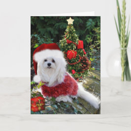 Snödroppa det maltesiska julkortet helgkort