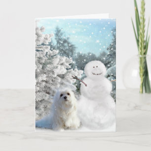 Snödroppa det maltesiska julkortet helgkort