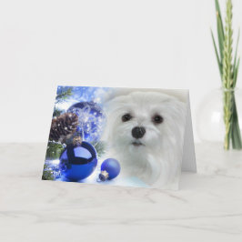 Snödroppa det maltesiska julkortet helgkort