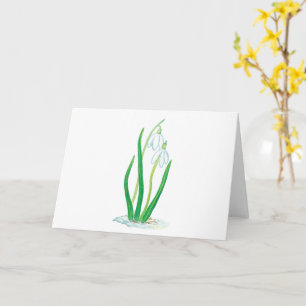 Snödroppar (Galanthus nivalis) Tidiga vårblommor Kort