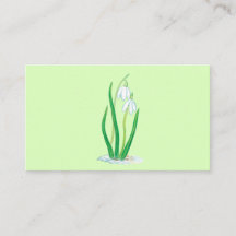 Snödroppar (Galanthus nivalis) Tidigt Vår blommor