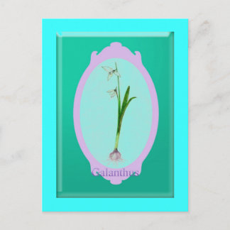 snödroppar "Galanthus" Vykort