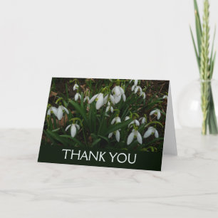 Snödroppar I (Galanthus) Vita vårblommor Tack Kort