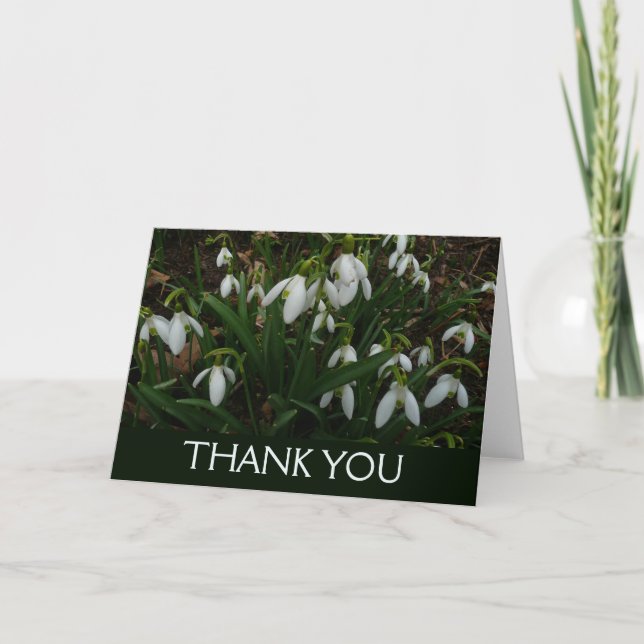 Snödroppar I (Galanthus) Vita vårblommor Tack Kort (Framsida)