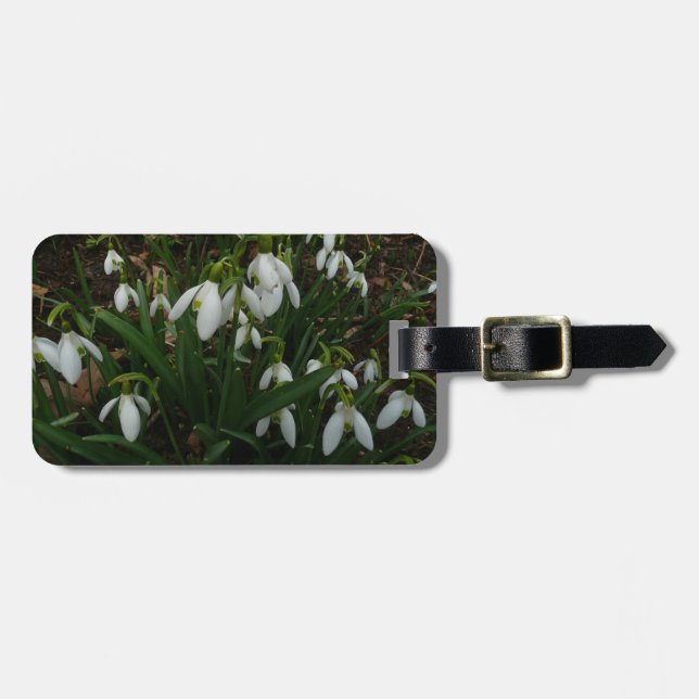 Snödroppar I (Galanthus) Vitt Vår blommor Bagagebricka (Horisontell Framsida)