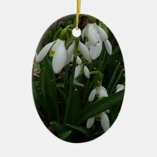 Snödroppar I (Galanthus) Vitt Vår blommor Julgransprydnad Keramik (Framsidan)