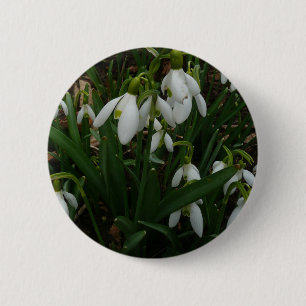 Snödroppar I (Galanthus) Vitt Vår blommor Knapp