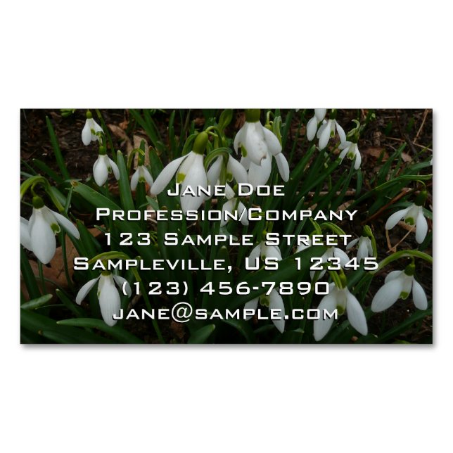 Snödroppar I (Galanthus) Vitt Vår blommor Magnetiska Visitkort (Framsida)
