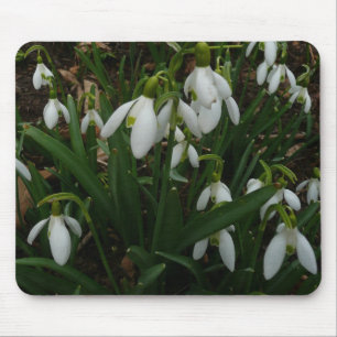 Snödroppar I (Galanthus) Vitt Vår blommor Musmatta