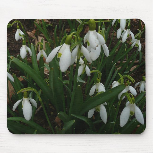 Snödroppar I (Galanthus) Vitt Vår blommor Musmatta (Framsidan)