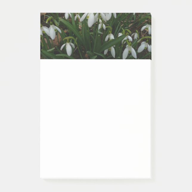 Snödroppar I (Galanthus) Vitt Vår blommor Post-it Block (Framsida)