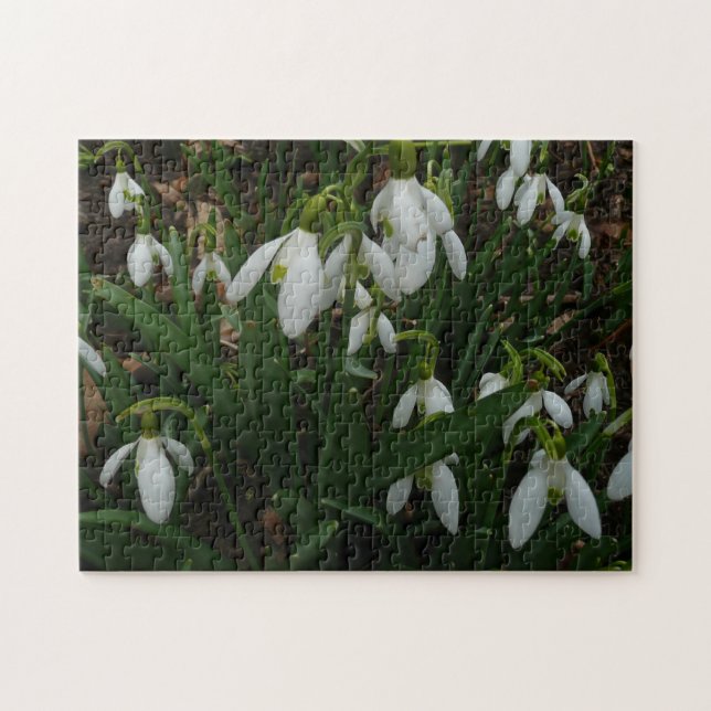 Snödroppar I (Galanthus) Vitt Vår blommor Pussel (Horisontell)