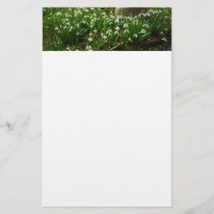 Snödroppar II (Galanthus) Vår Blommigt Brevpapper