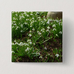 Snödroppar II (Galanthus) Vår Blommigt Knapp