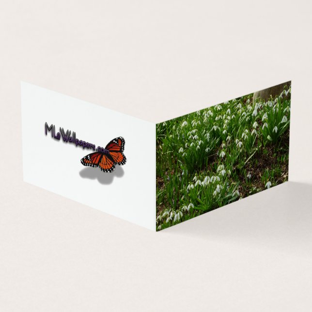 Snödroppar II (Galanthus) Vår Blommigt Kort (Utsida)