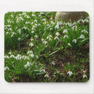 Snödroppar II (Galanthus) Vår Blommigt Musmatta