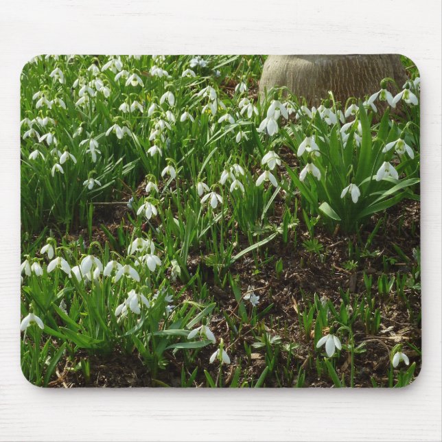 Snödroppar II (Galanthus) Vår Blommigt Musmatta (Framsidan)