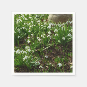 Snödroppar II (Galanthus) Vår Blommigt Pappersservett