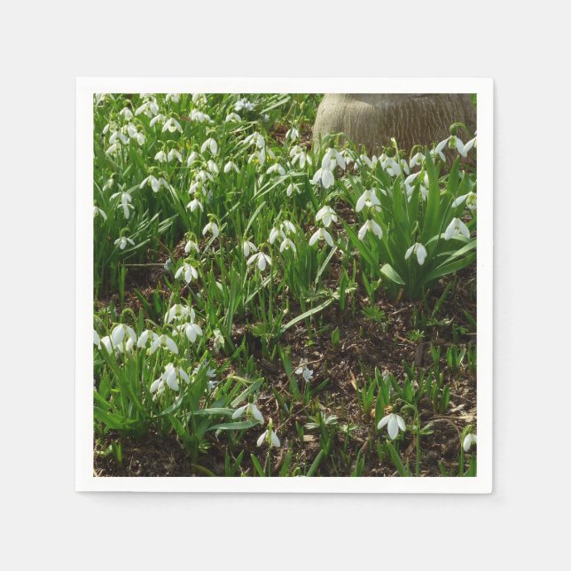 Snödroppar II (Galanthus) Vår Blommigt Pappersservett (Framsidan)