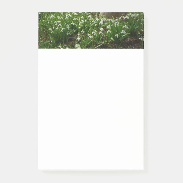 Snödroppar II (Galanthus) Vår Blommigt Post-it Block (Framsida)